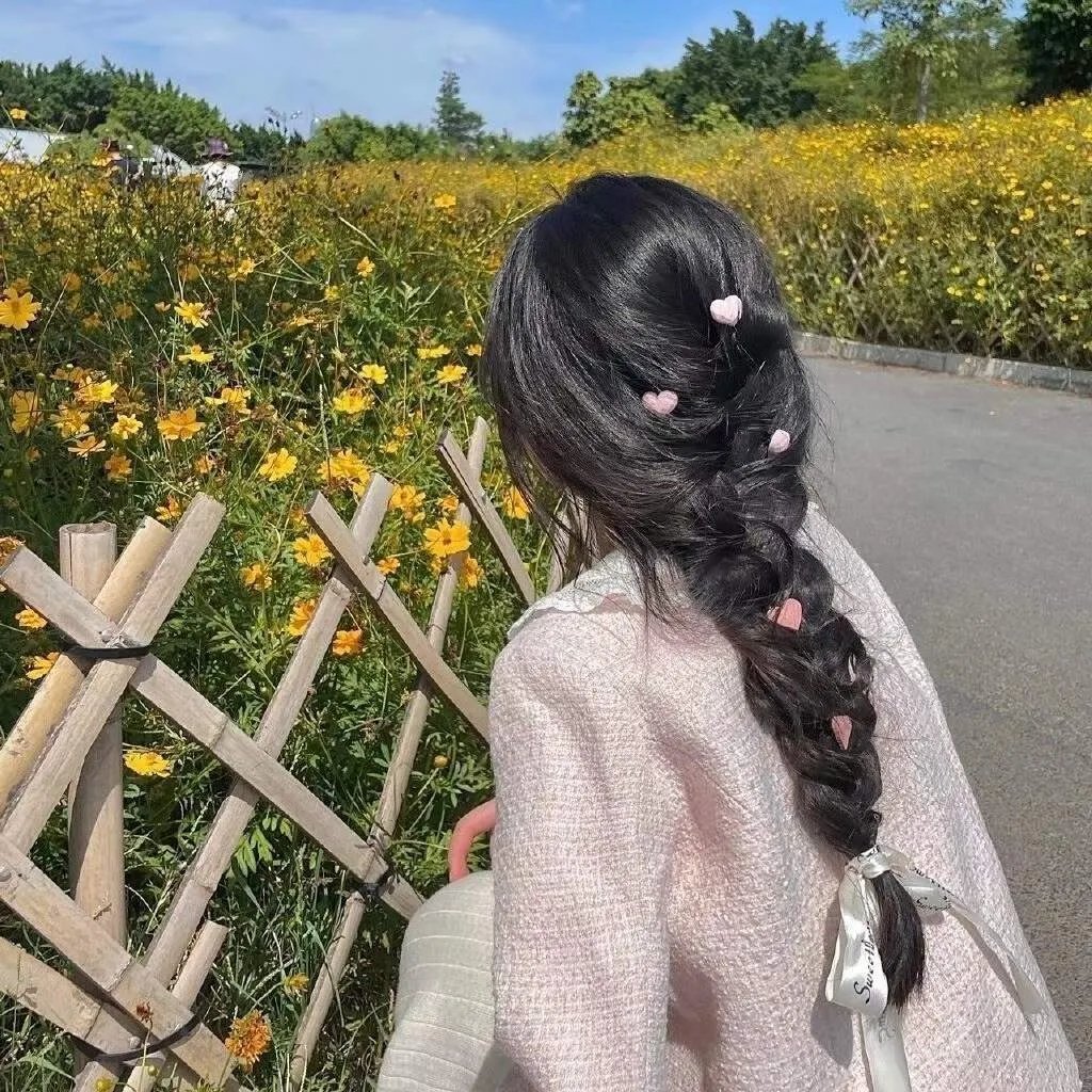 海蒂